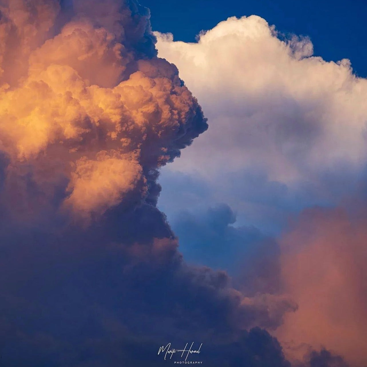 Head in the Clouds- Moritz Hormel