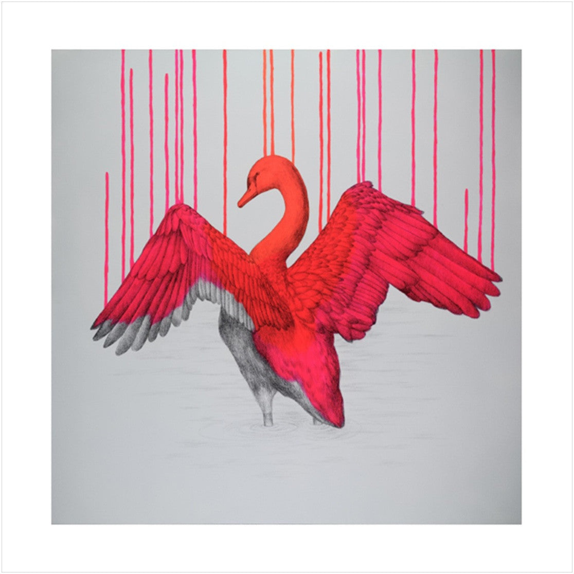 Beautifully Wild - Louise McNaught